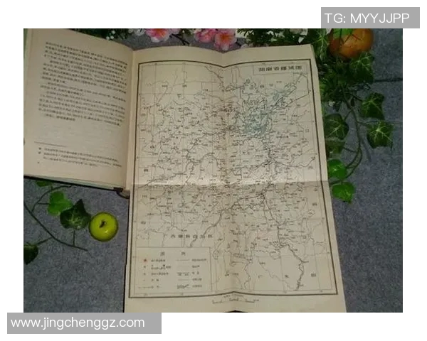 孙英译：韩国足球传奇的崛起与辉煌历程解析