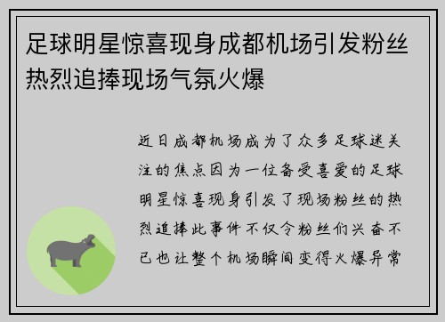 足球明星惊喜现身成都机场引发粉丝热烈追捧现场气氛火爆